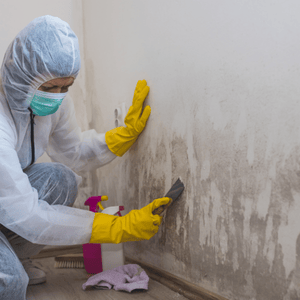 does Home Insurance Cover Restoration for mold remediation