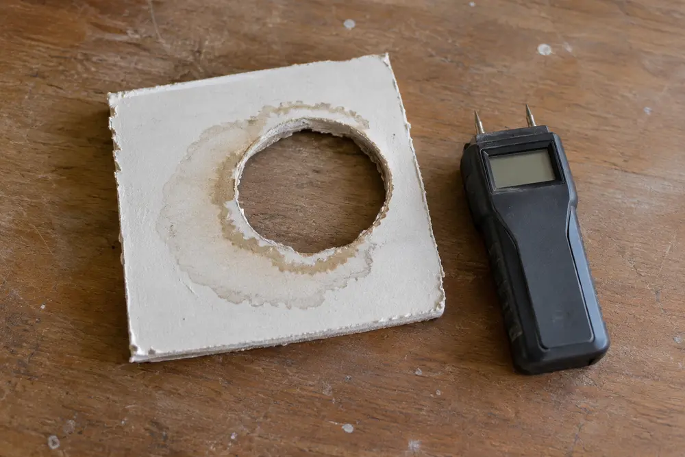A stained drywall cutout and pin moisture meter rest on a wooden workbench.